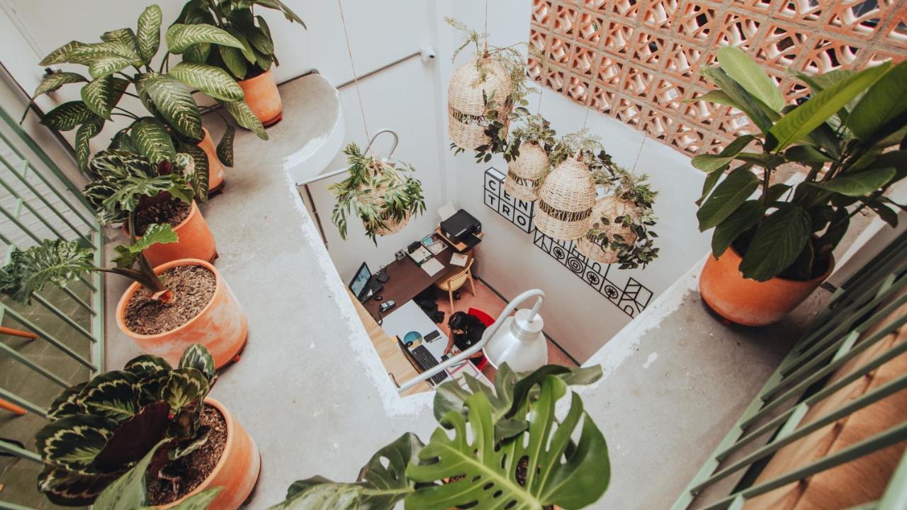 Centro Hostel Medellín Exteriér fotografie